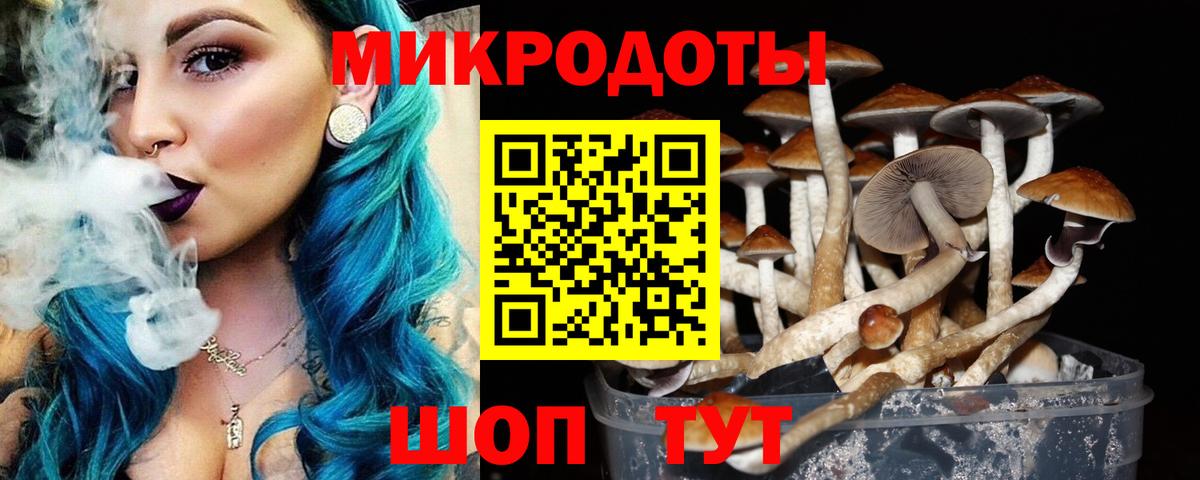Магадан  Псилоцибиновые грибы Cubensis  где можно купить наркотик  Вход с VPN 